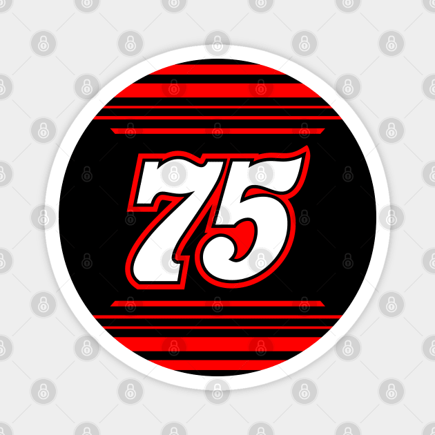 Stefan Parsons #75 2024 NASCAR Design Magnet by AR Designs 